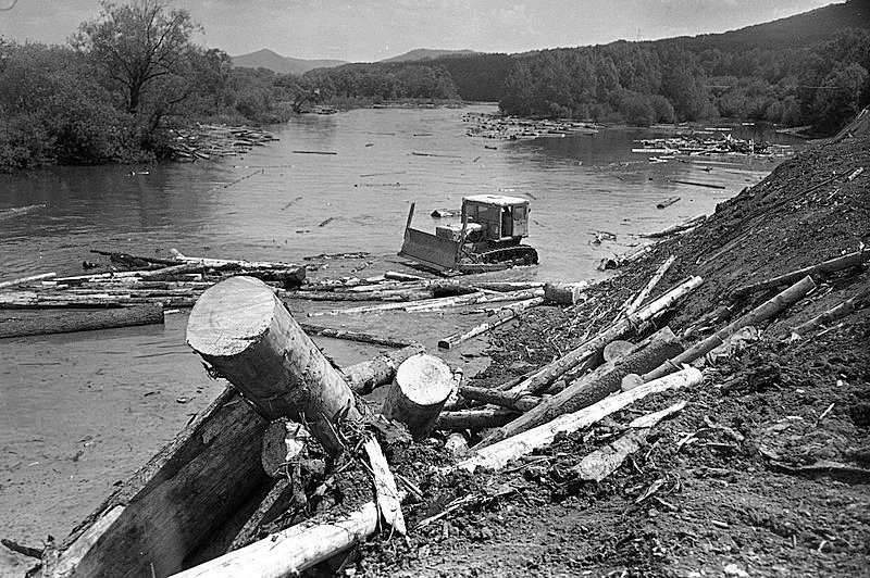 Mikaela Schaefer erotika