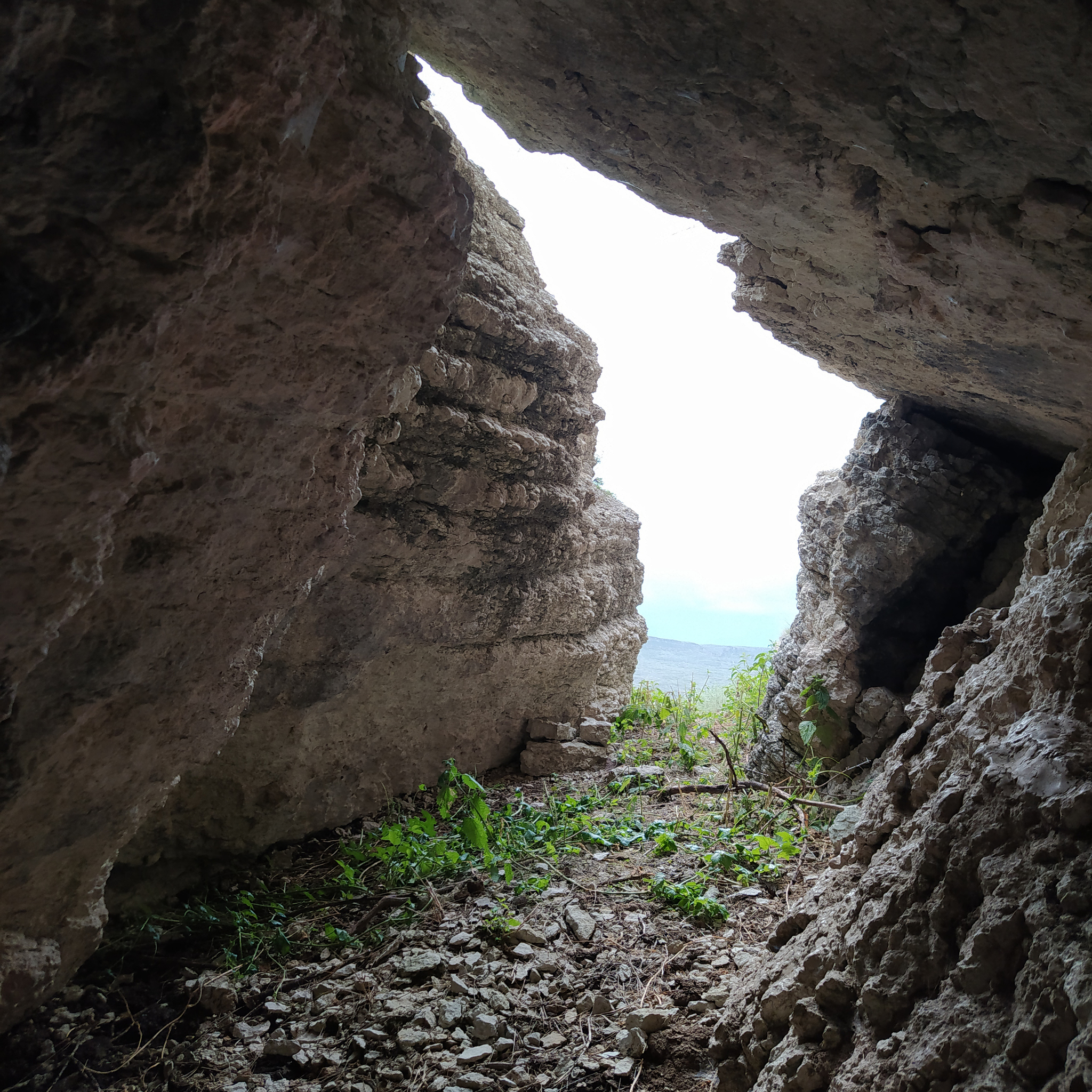 Continuation of the post “Fossils in the ravine” - My, Bones, Fossils, Archeology, Paleontology, The mountains, Dagestan, Reply to post, Longpost