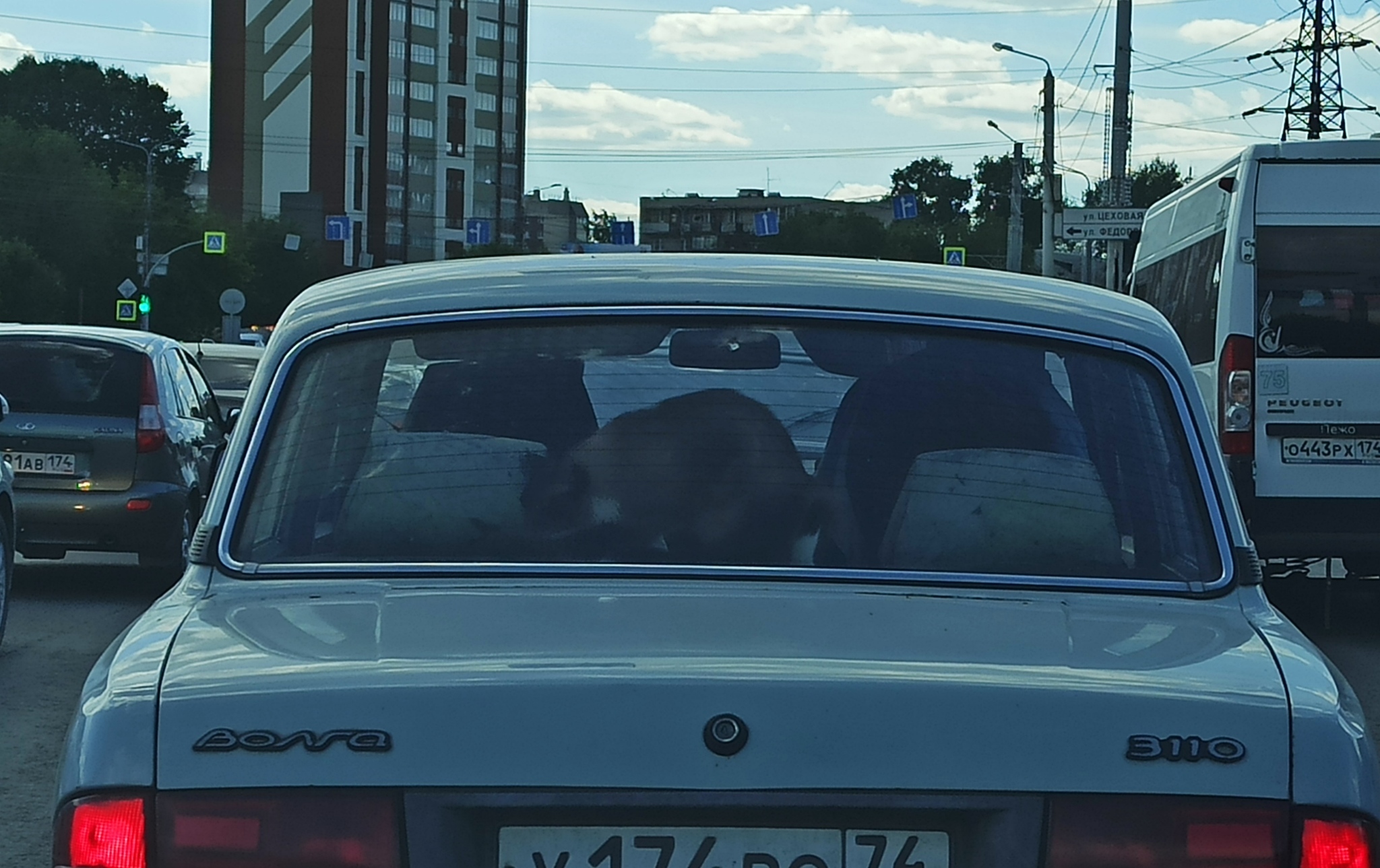 Kotey-passenger on the rear shelf - My, cat, Gaz-3110