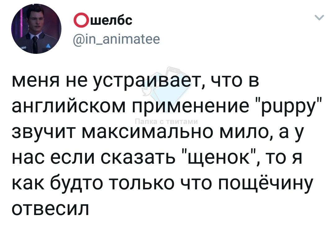 Щенок - Слова, Иностранные языки, Twitter, Скриншот