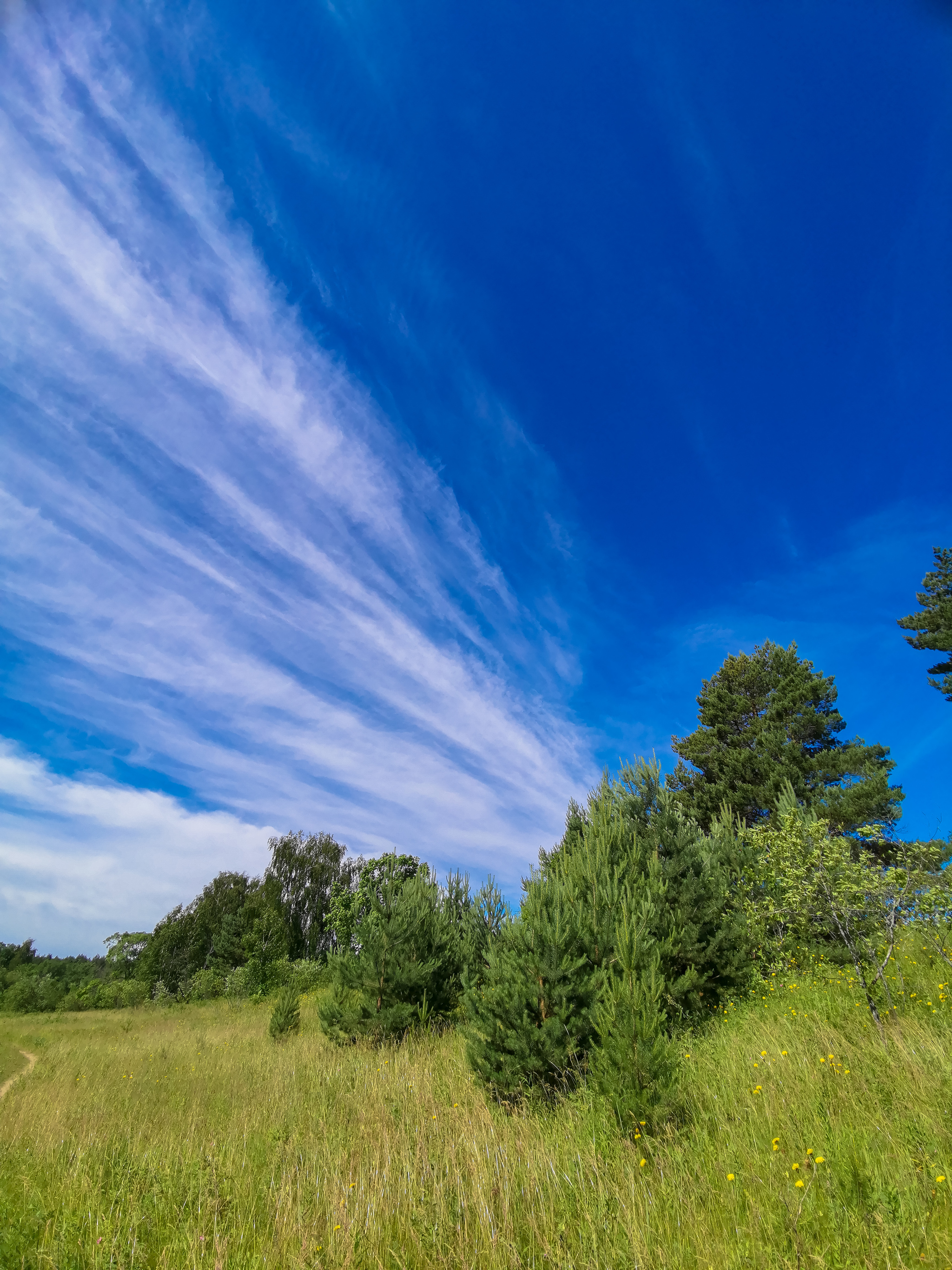 Landscape - My, Mobile photography, Landscape, Nature, Huawei mate 20, Longpost