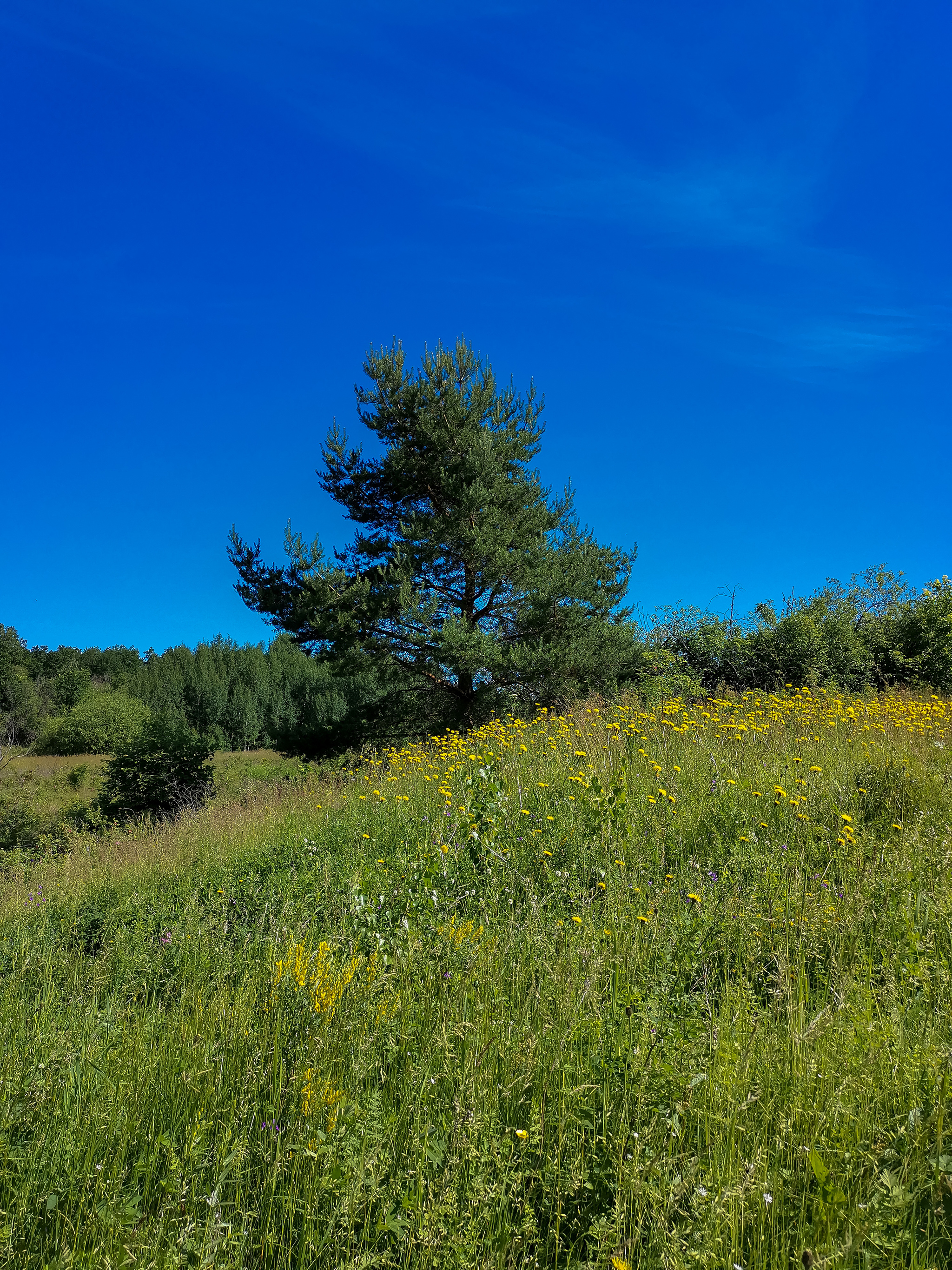 Landscape - My, Mobile photography, Landscape, Nature, Huawei mate 20, Longpost