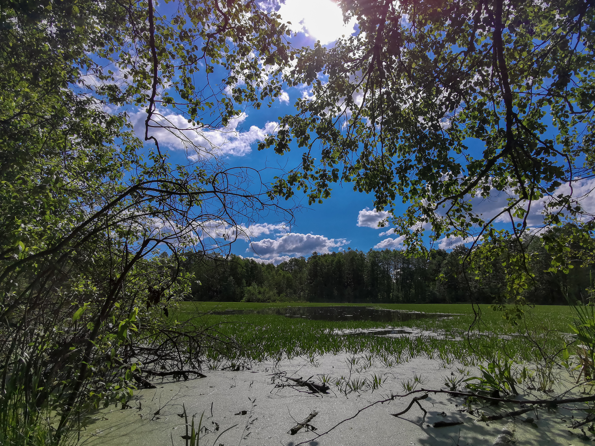 Mobile sketches - My, Mobile photography, Huawei mate 20, Nature, A bike, Lake, Dzerzhinsk, Video, Longpost