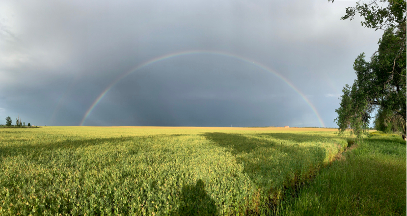 Поймал радугу - Моё, Радуга, Фотография, Природа