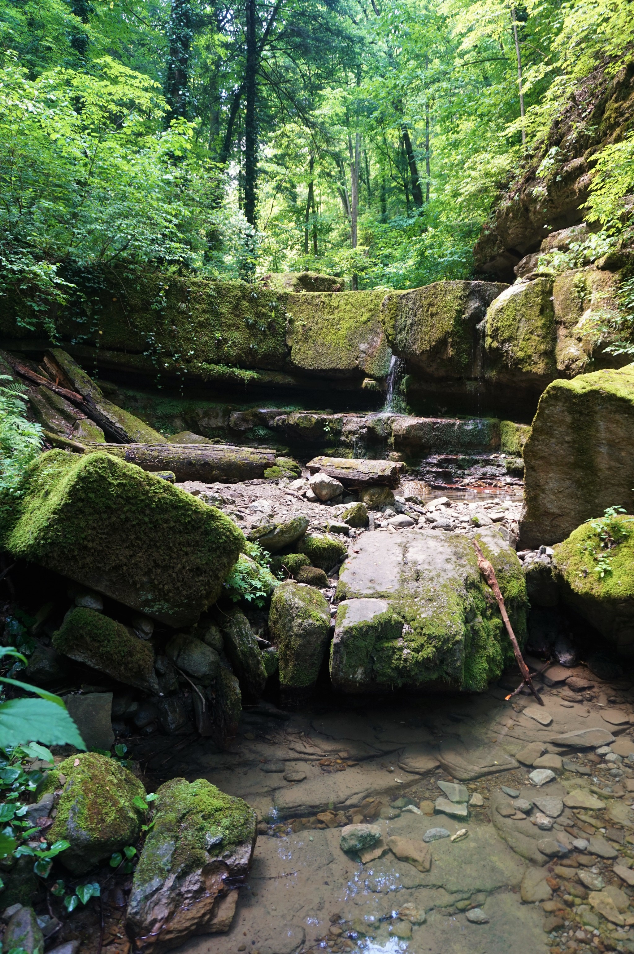 Walk to Kaverzinsky waterfalls - My, Hot Key, Краснодарский Край, Hike, Waterfall, Forest, Walk, Longpost