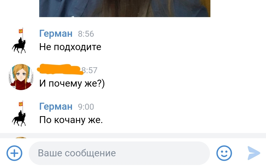 Ответ на пост «Так меня ещё никто не называл...» - Моё, Герман Стерлигов, Скриншот, ВКонтакте, Переписка, Вакансии, Собеседование, Работа, Ответ на пост, Длиннопост, Хамство