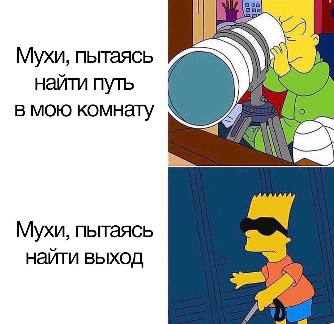 flies - Humor, Муха, Vital, Bart Simpson