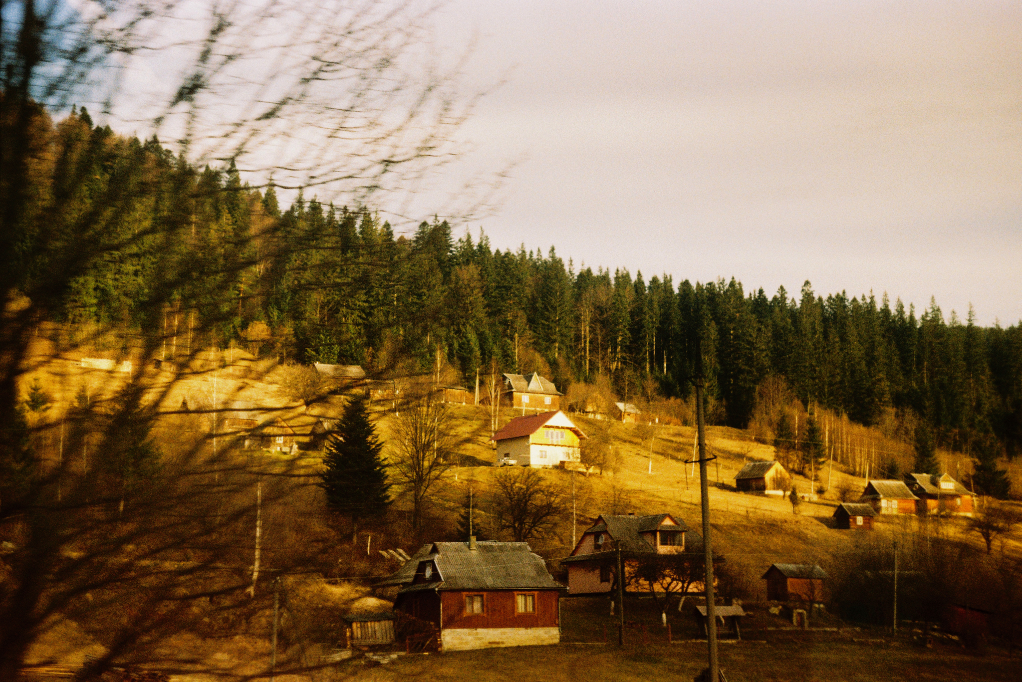 Several frames - My, Landscape, The photo, Film, Zenit 11, Longpost