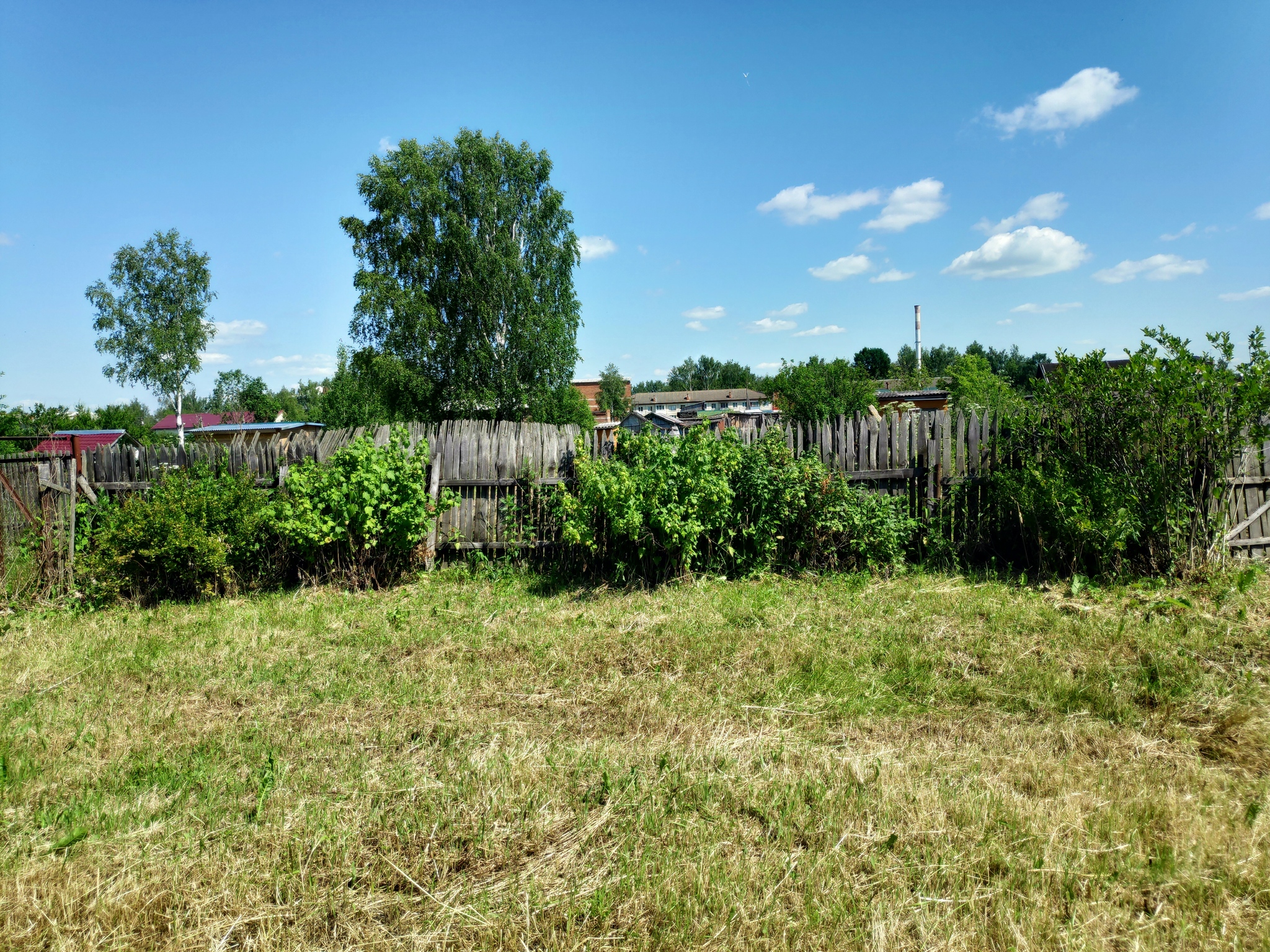 Vegetable garden/dacha My lazy dacha Part 2 Reconnaissance - My, Garden, Dacha, Mat, Longpost