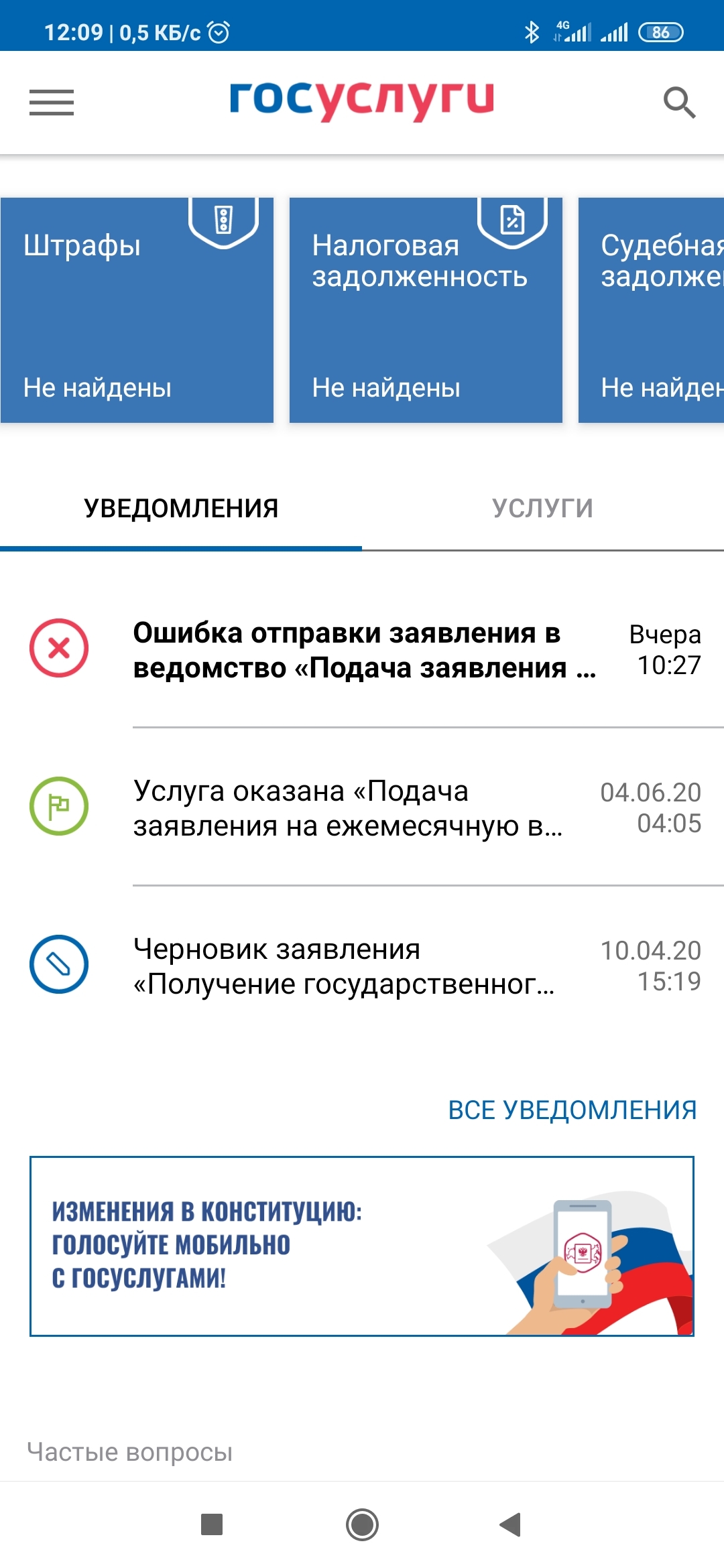 Проголосовал онлайн. Нет - Моё, Конституция, Голосование, Поправки, Госуслуги, Длиннопост, Политика