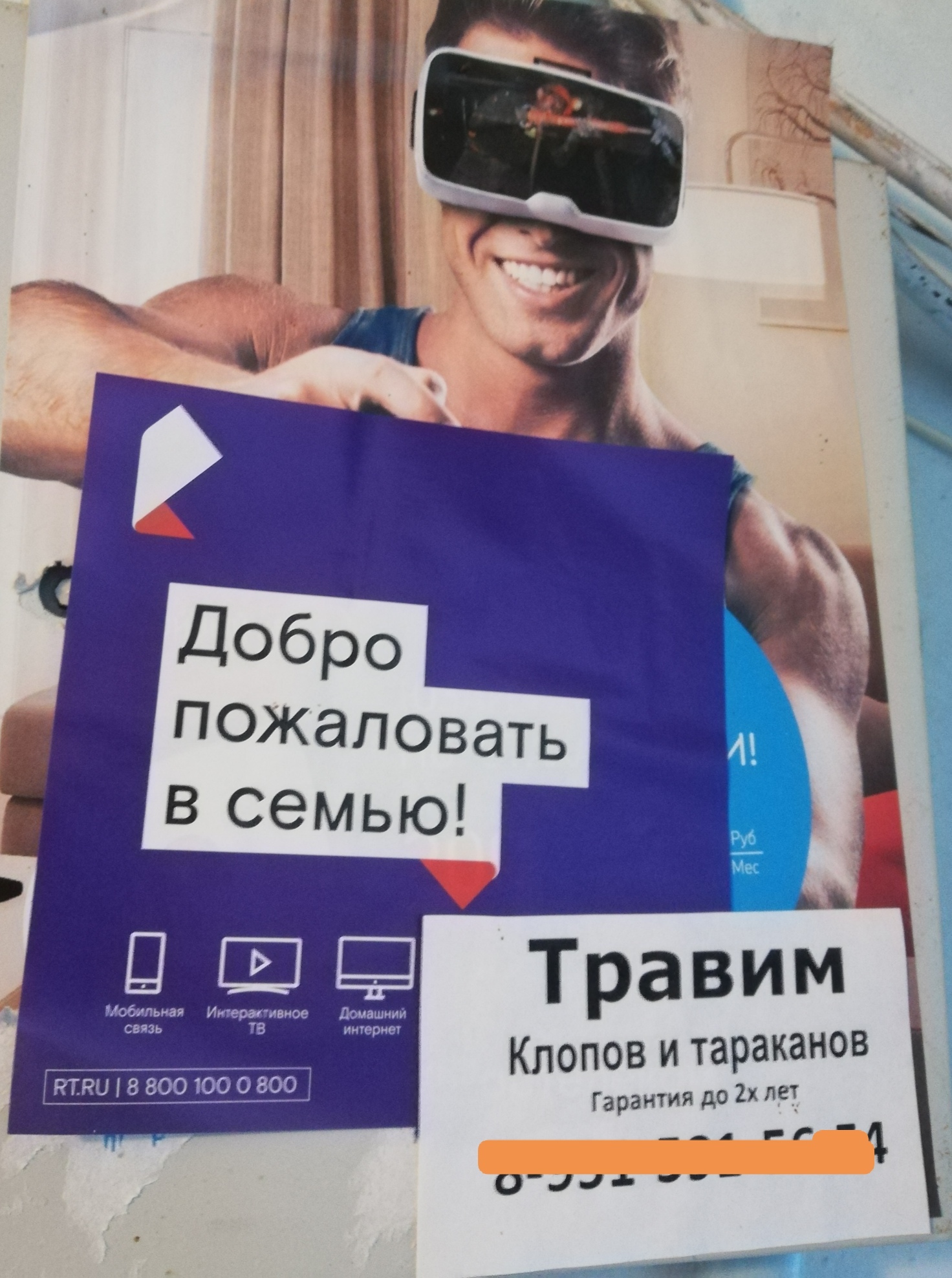 Tempting offer - Rostelecom, Advertising, Bedbugs, Cockroaches