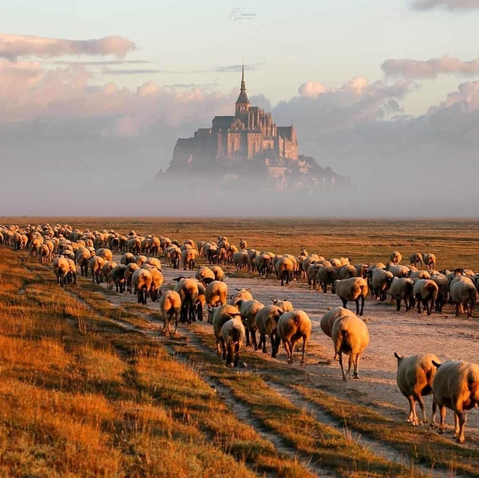 Mont Saint-Michel. Omelet of Mother Poulard - France, Normandy, Mont Saint Michel, French cuisine, Omelette, Video, Longpost