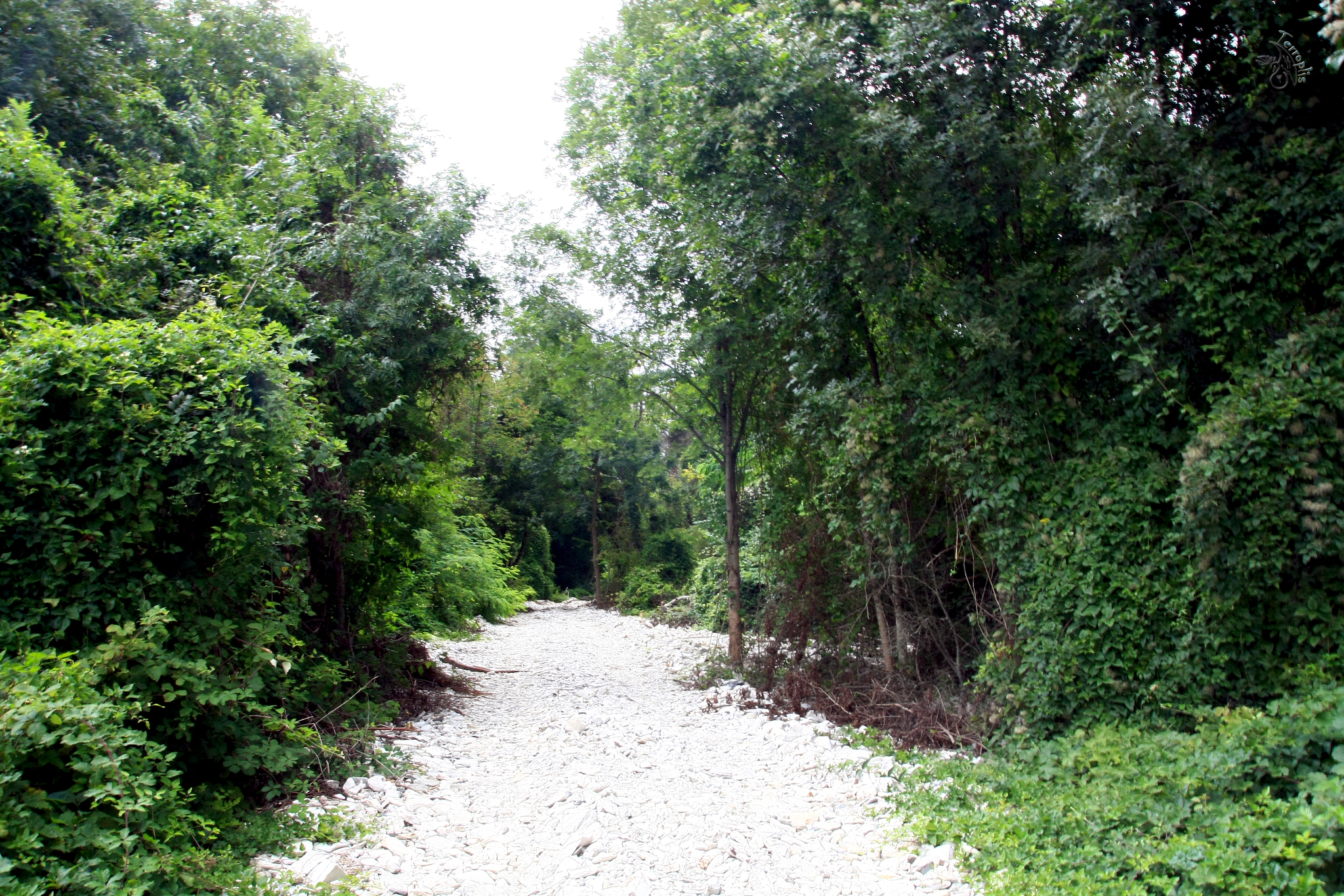 First lap. Conversations with stones - My, Forest, The mountains, Caucasus, Waterfall, Dolmens, Hike, Travels, First post, Longpost