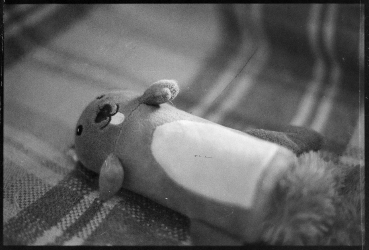 Favorite dog with his favorite toy - My, The photo, Film, Dog, Black and white photo