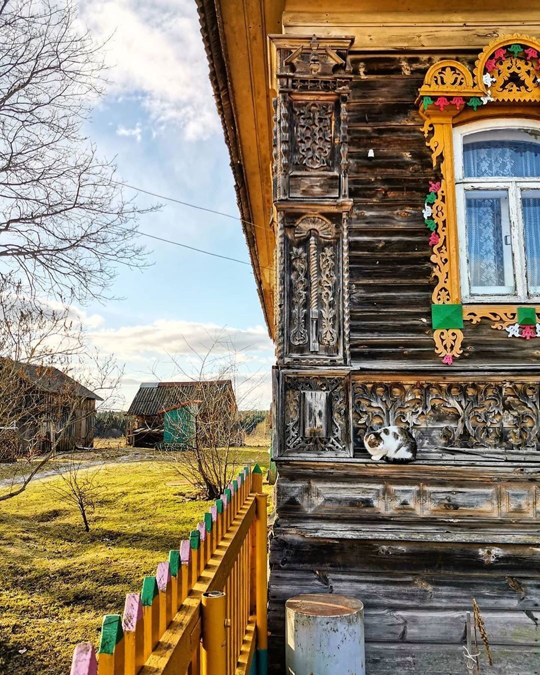 Atmospheric - Village, cat, Platbands, Wooden architecture, Longpost, House, From the network