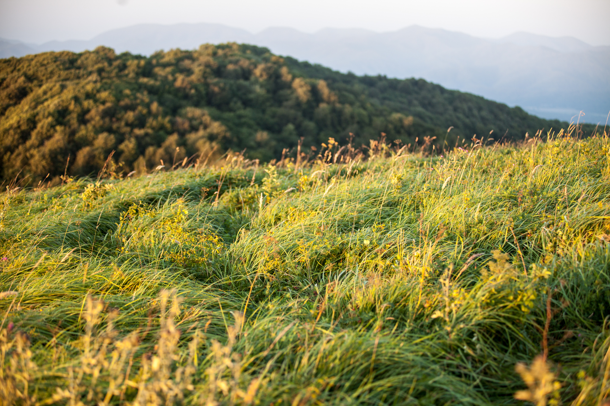 Circle two. Dancing with fairies - My, Hike, The mountains, Caucasus, The photo, dawn, Adventures, Stars, Longpost