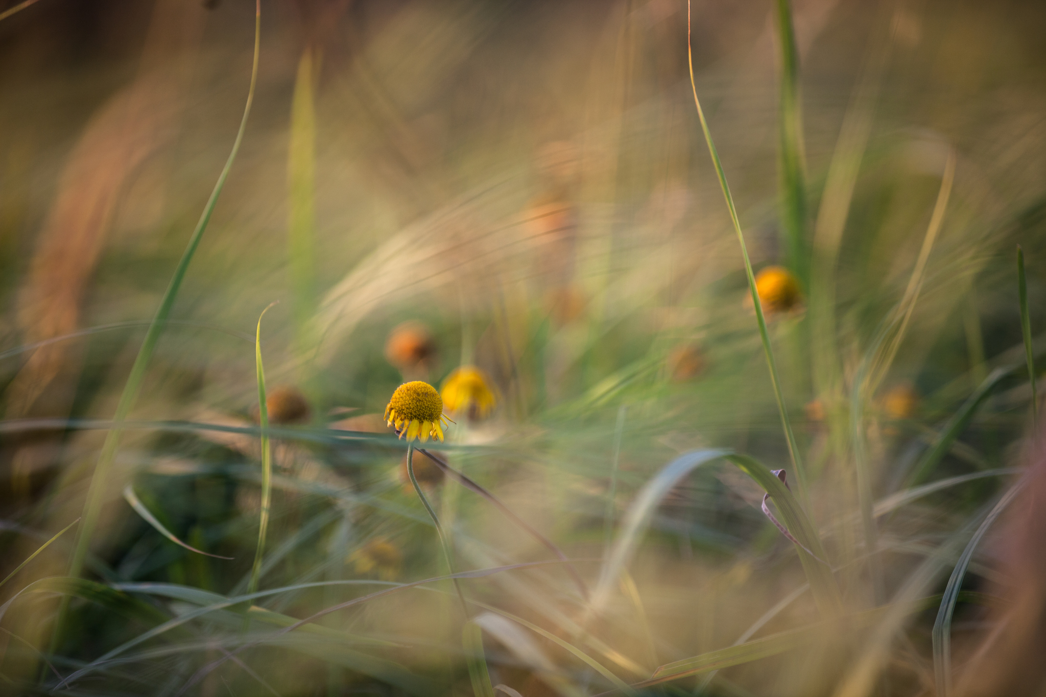 Circle two. Dancing with fairies - My, Hike, The mountains, Caucasus, The photo, dawn, Adventures, Stars, Longpost