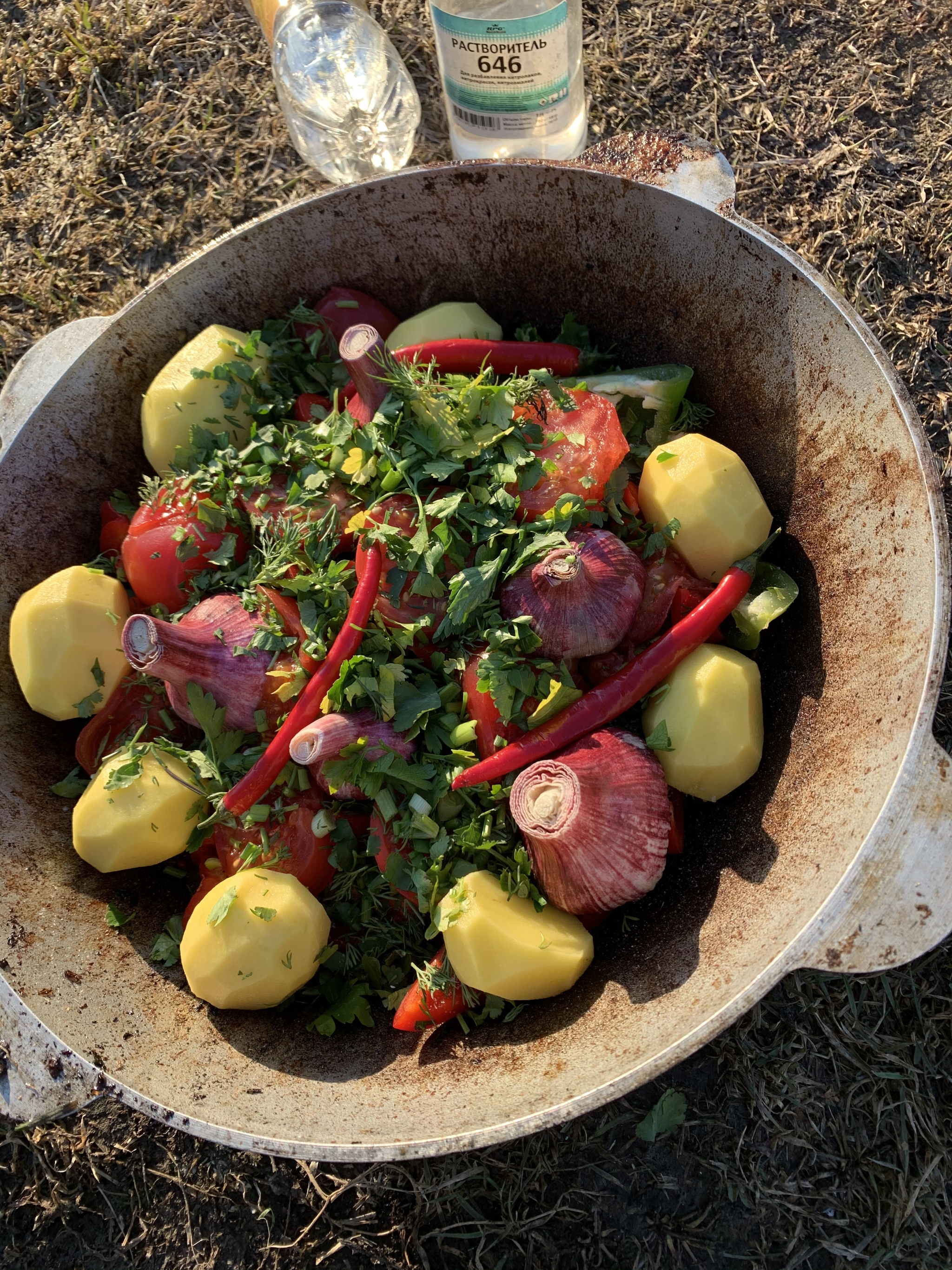 Cooking khashlama in a cauldron! - My, Hashlama, Kazan, Recipe, Preparation, Longpost, Cooking, Asian food