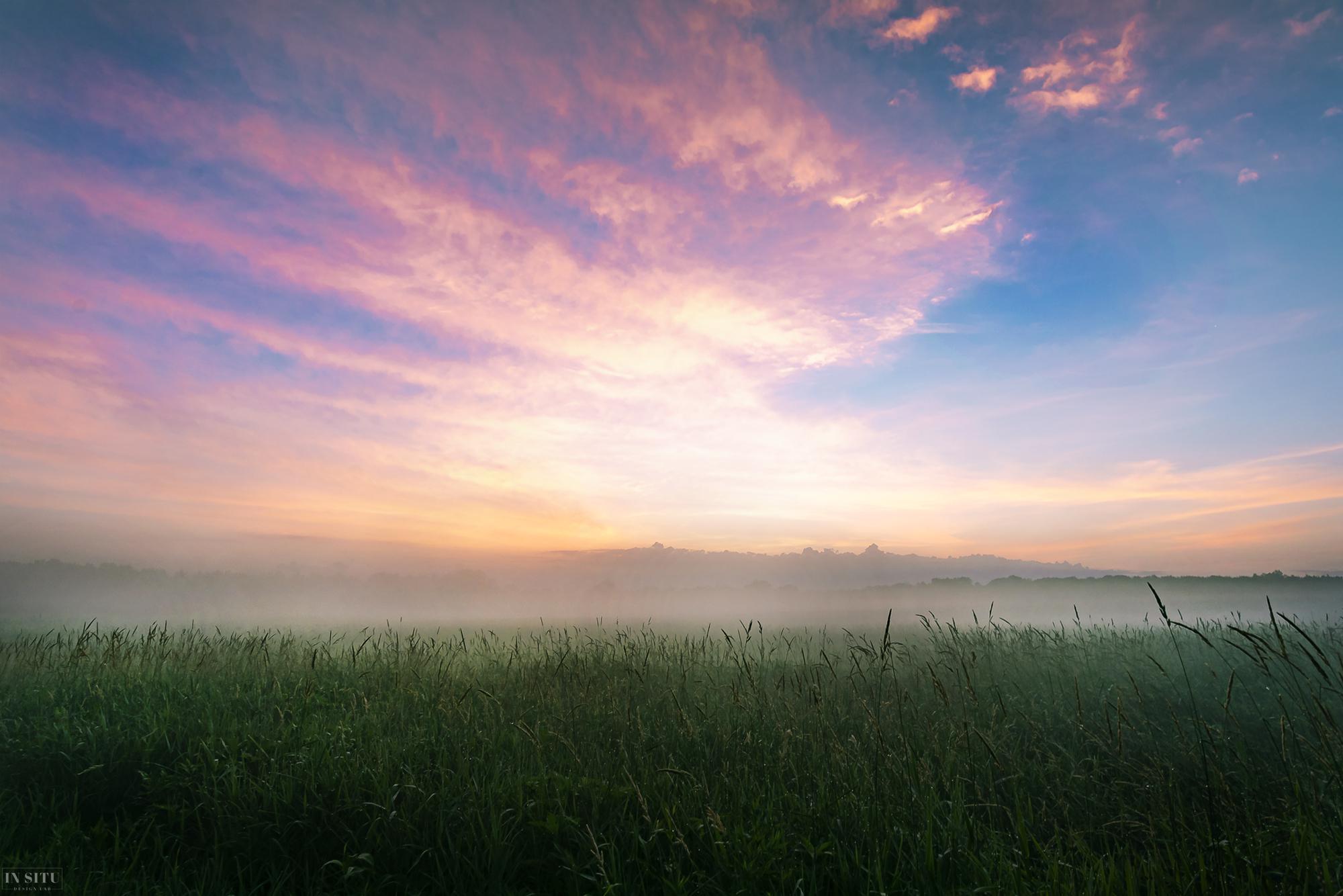 Meadow at dawn - Nature, dawn, The photo