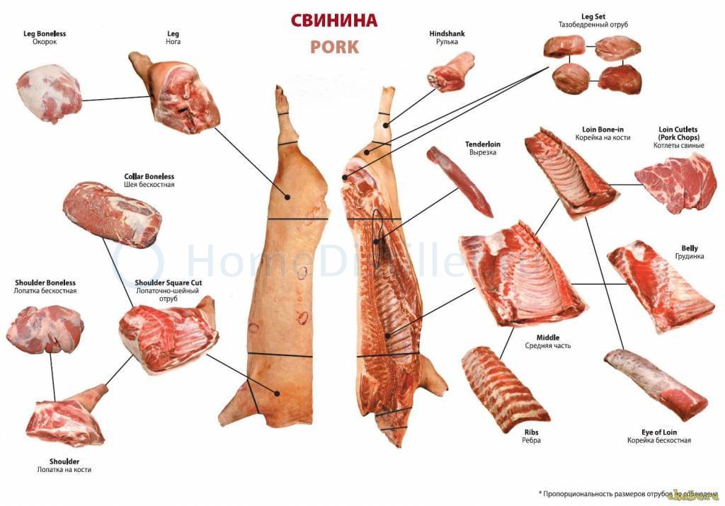 Приходите к нам. Мясникам. У нас есть - Приходите к нам, Обвалка, Жиловка, Мясо, Картинка с текстом