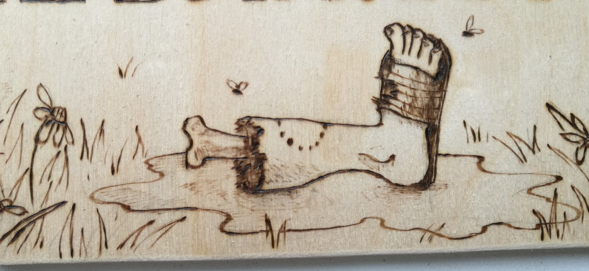 For those who like to look behind other people's fences - My, Humor, Animals, Mat, Longpost, Pyrography, Dog