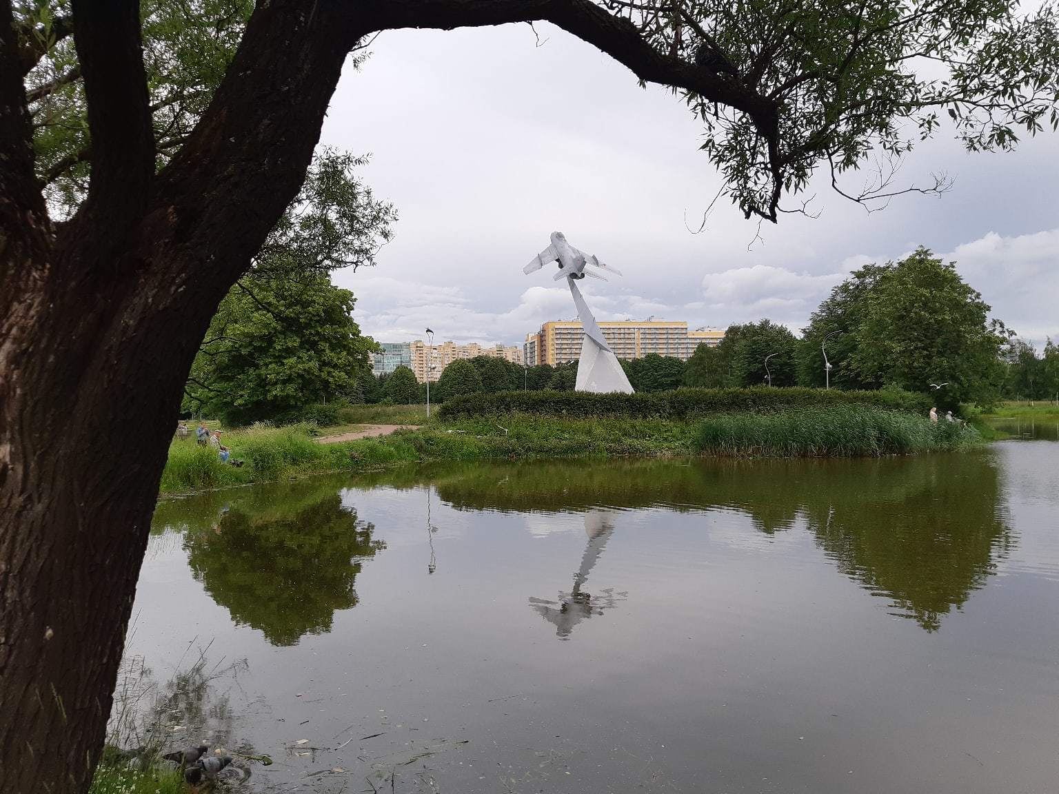 Aviator Park. July 7, 2020. St. Petersburg - My, Aviators' Park, The park, Tree, Pond, Saint Petersburg, The photo, Video, Longpost