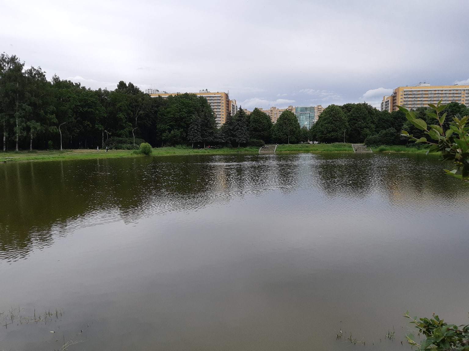 Aviator Park. July 7, 2020. St. Petersburg - My, Aviators' Park, The park, Tree, Pond, Saint Petersburg, The photo, Video, Longpost