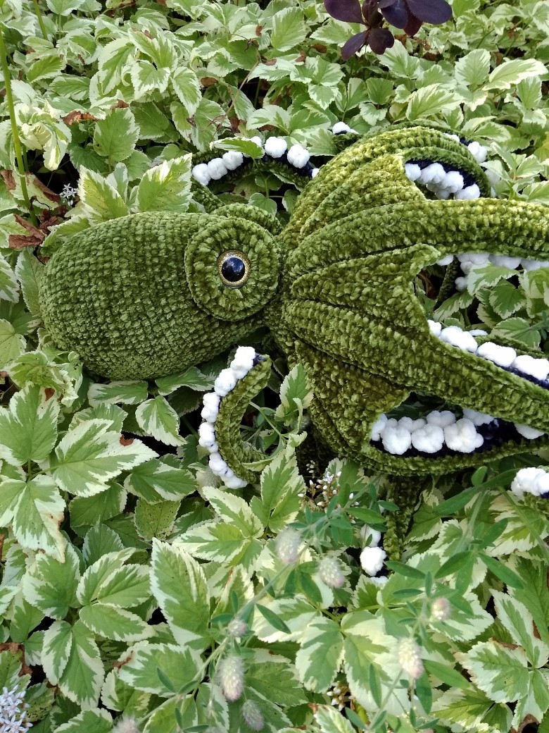 He was green - My, Octopus, Crochet, Knitted toys, Needlework without process, Longpost