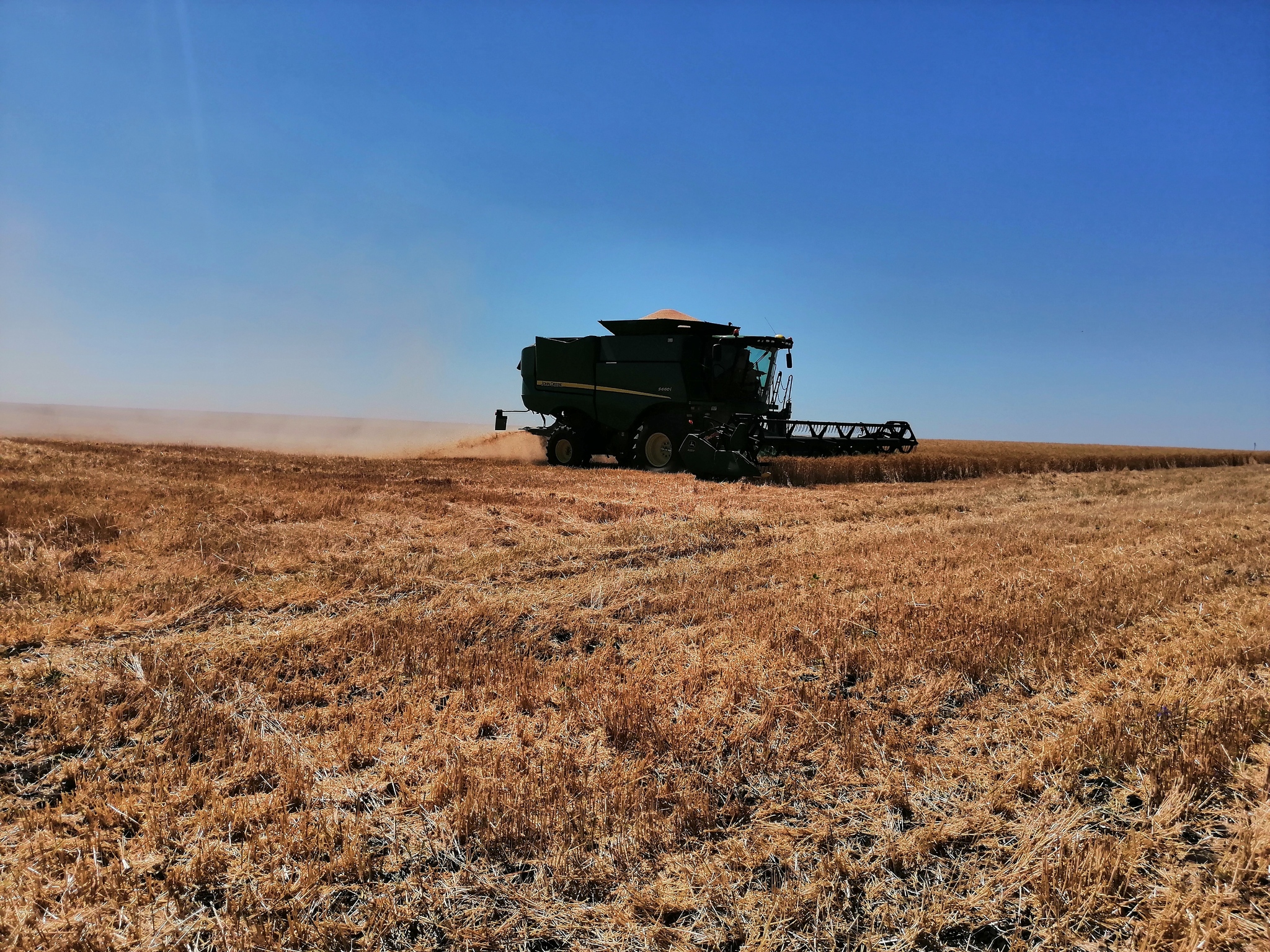 This is how we started - Сельское хозяйство, Cleaning, Wheat, Combine harvester, Longpost