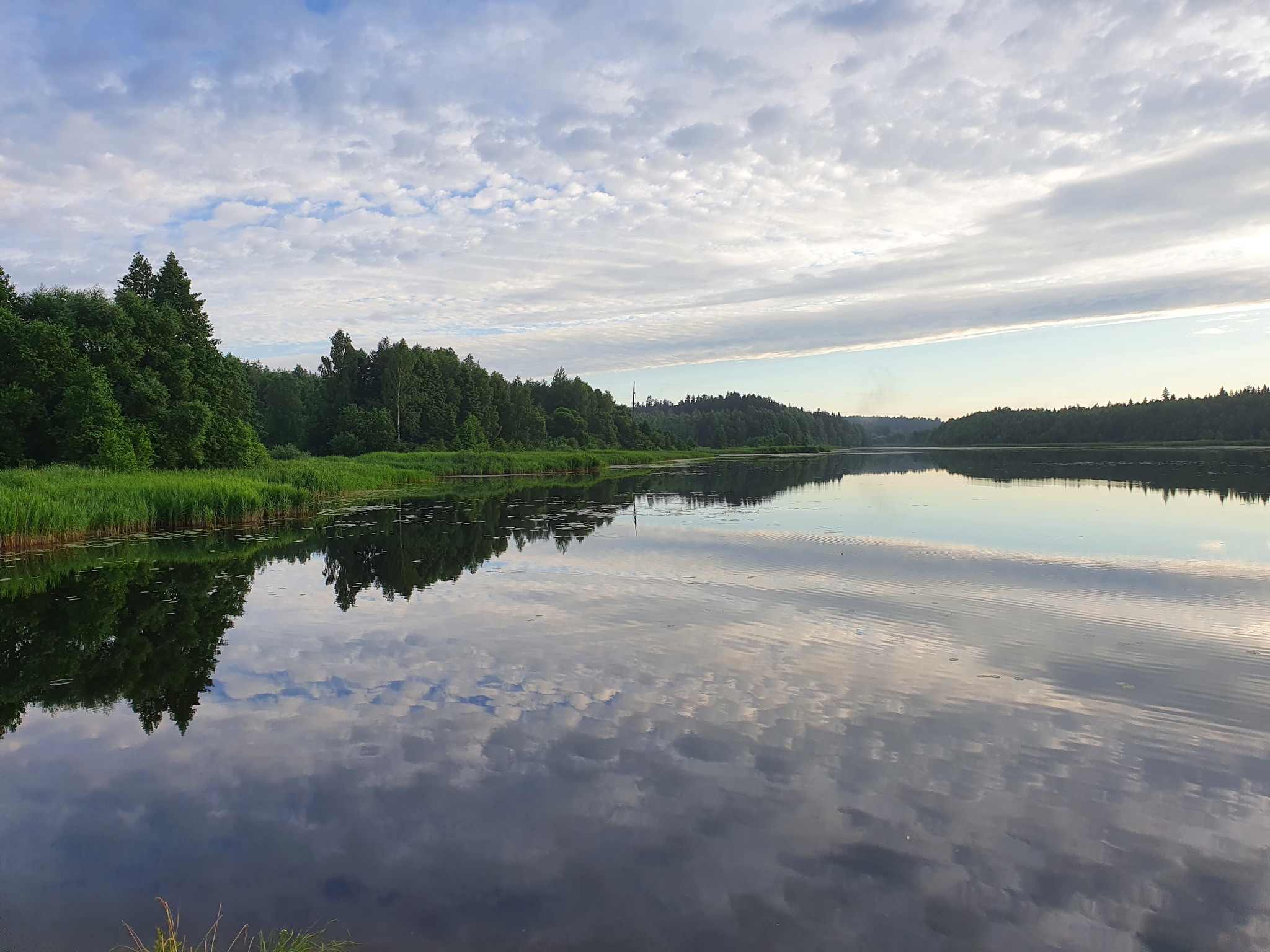 Sunset over the lake - My, Republic of Belarus, Nature, Swans, Sunset, Longpost