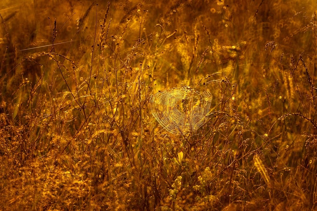 Dawn on the mountain - My, dawn, The sun, Fog, Ural, Ust-Katav, The photo, Longpost