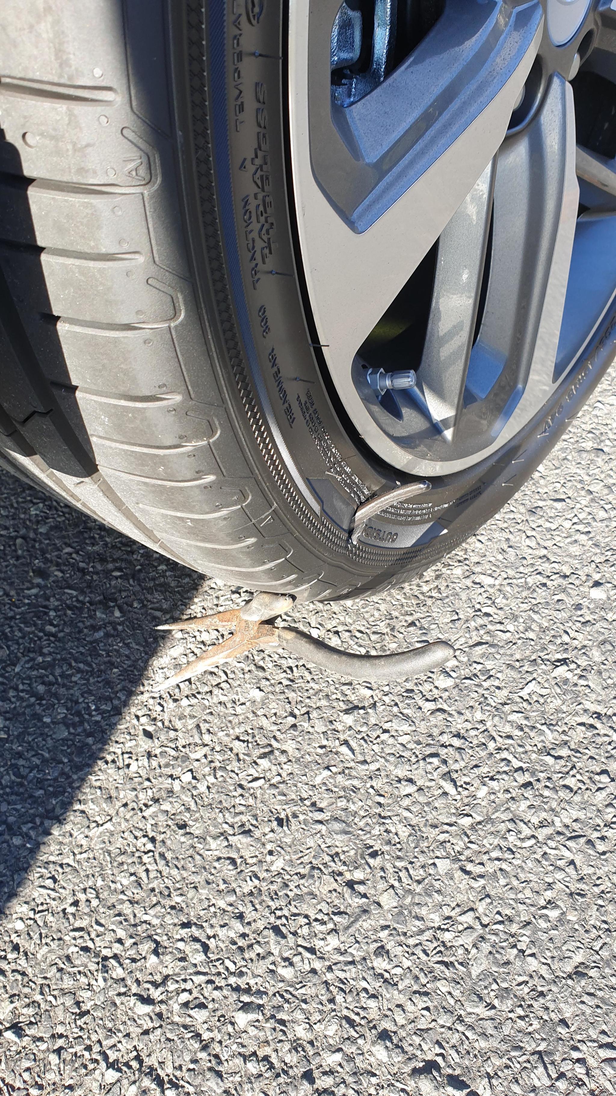 “I decided to take my wife’s new car for a ride, and a few minutes later this happened.” - Auto, Колесо, Failure, Reddit