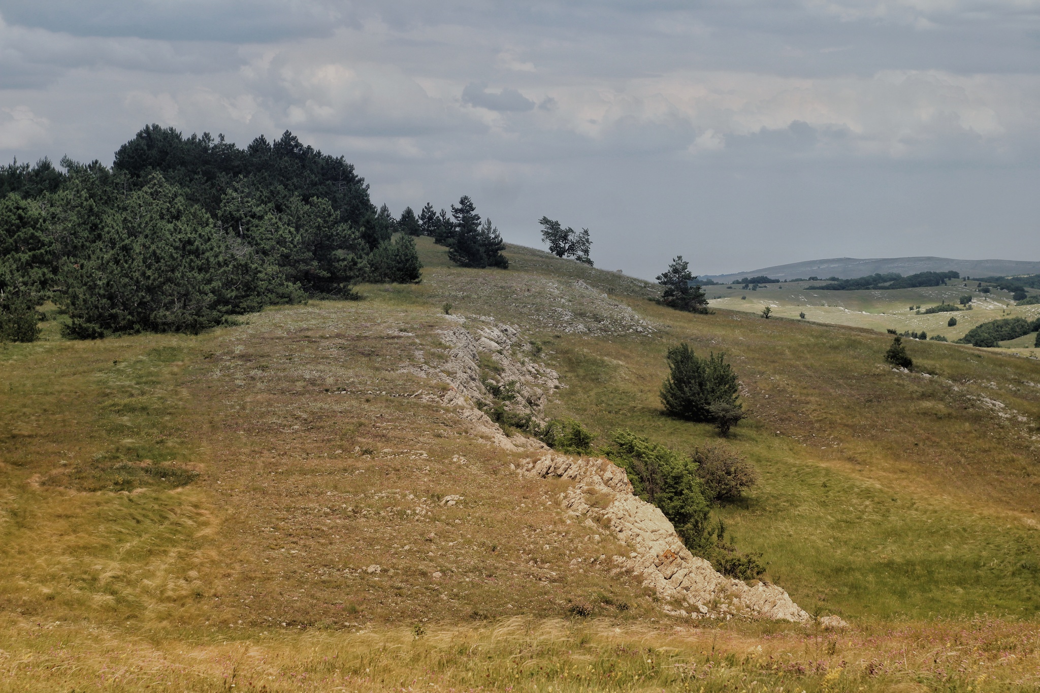 Karabi-yayla, walk, July - My, Crimea, The mountains, The photo, Walk, Landscape, Macro photography, Longpost