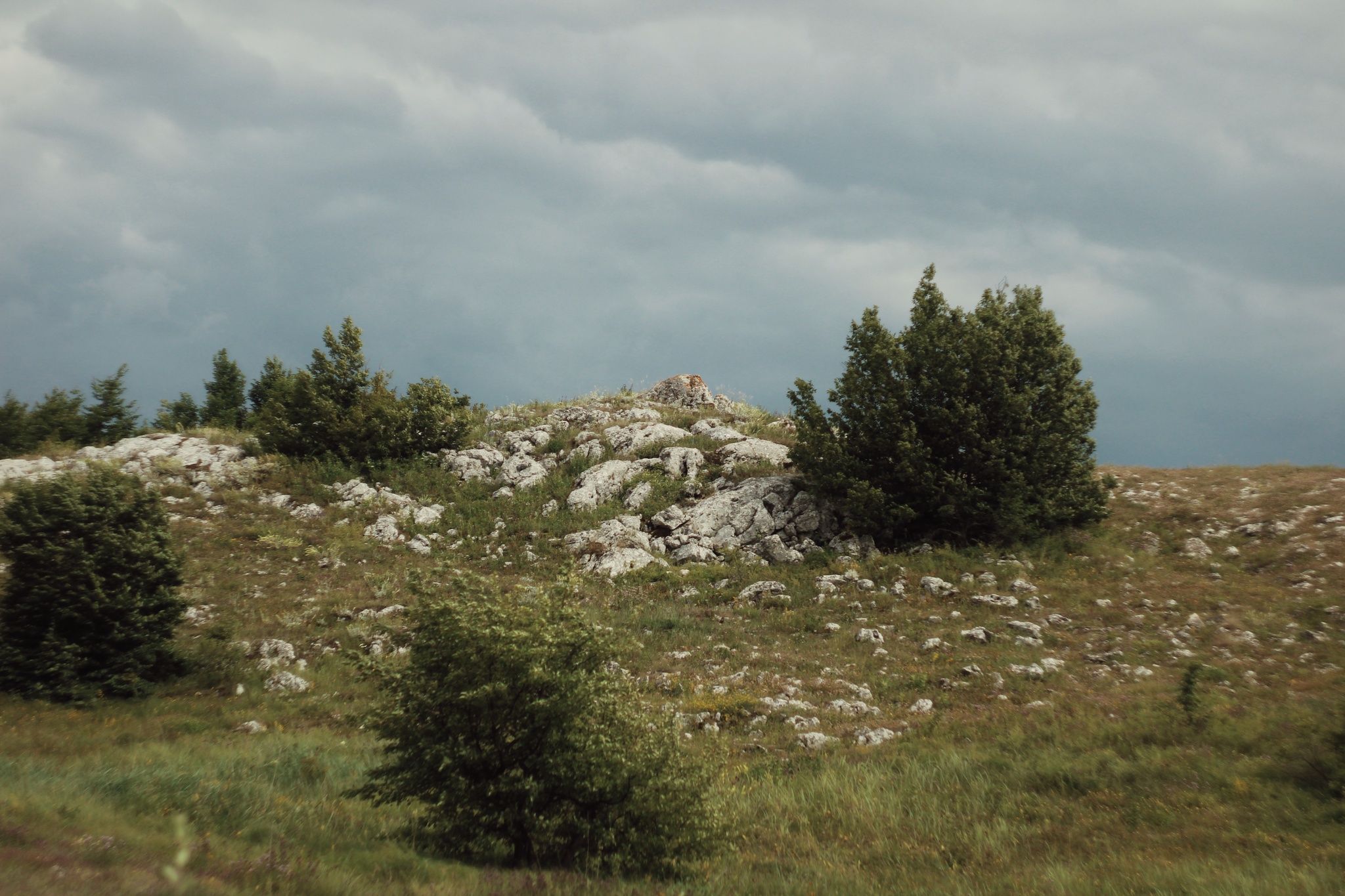 Karabi-yayla, walk, July - My, Crimea, The mountains, The photo, Walk, Landscape, Macro photography, Longpost