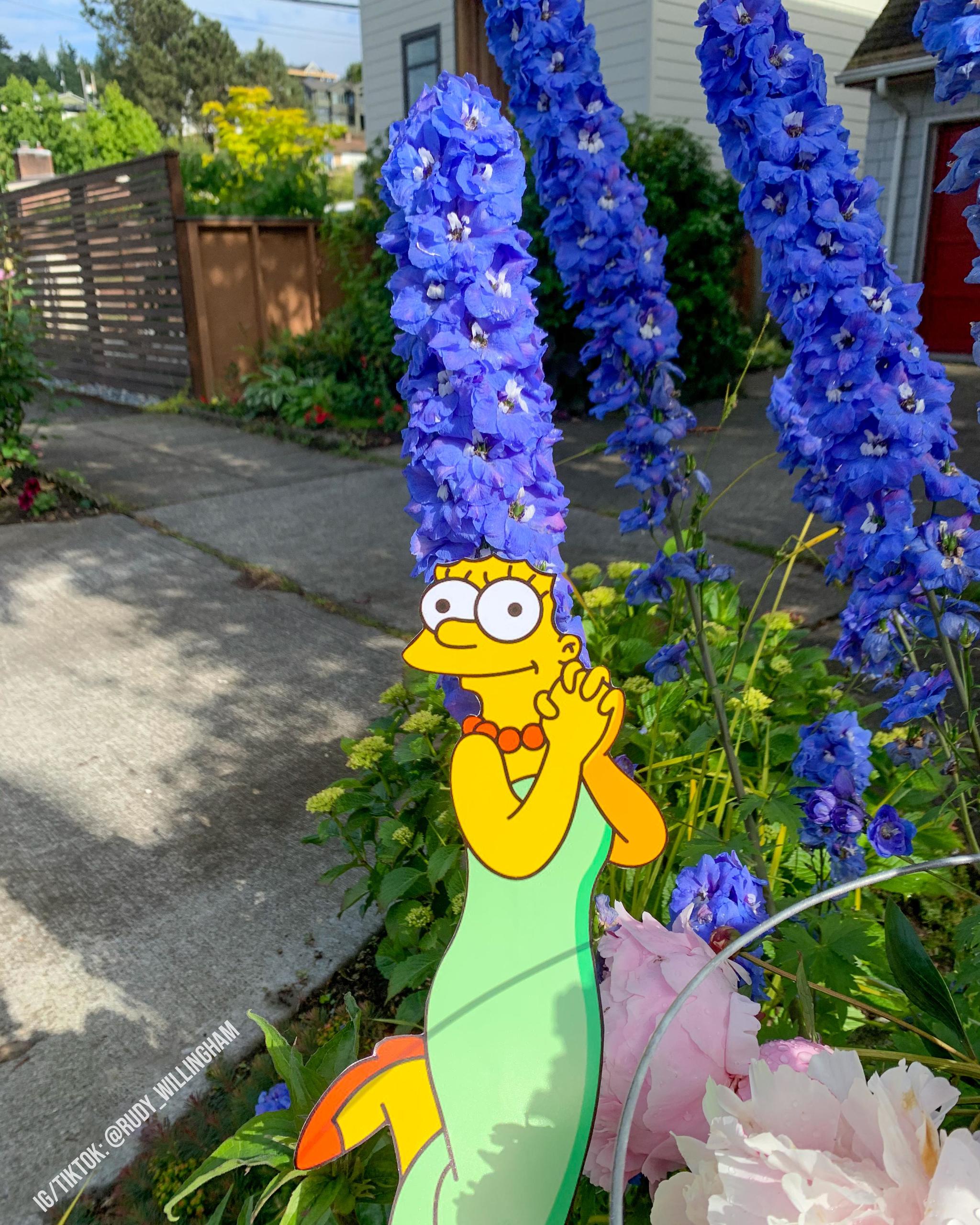 Left this in the neighbors garden to cheer them up a bit! - Marge Simpson, Прическа, Flowers, Lucky moment, The Simpsons, Reddit, Delphinium