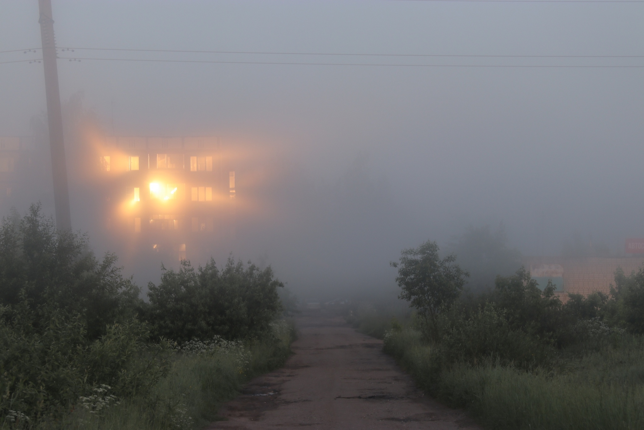 Солнце и туман | Пикабу