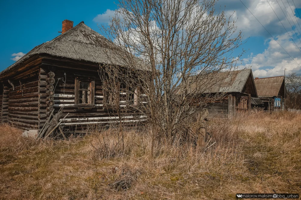 Деревня, в которой не осталось людей. Дома в неплохом состоянии, заселяйся и живи. Вы бы стали? - Заброшенные деревни, Яндекс Дзен, Деревня, Длиннопост, Урбанфакт