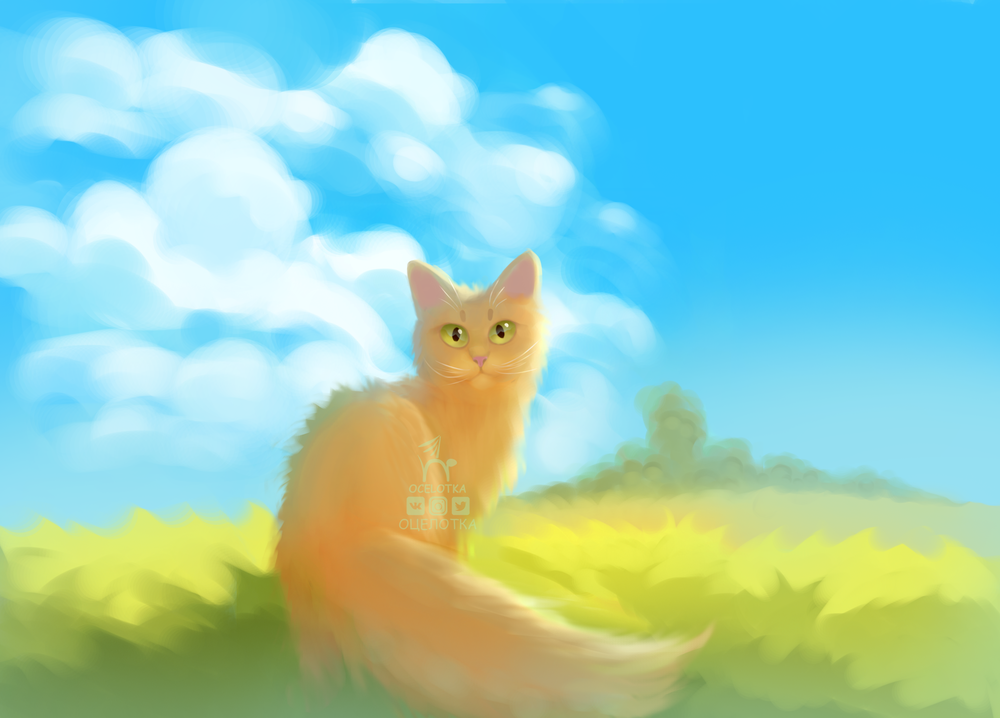 Sunny cats - My, Digital drawing, cat, The sun, Drawing, Photoshop, Milota, Art