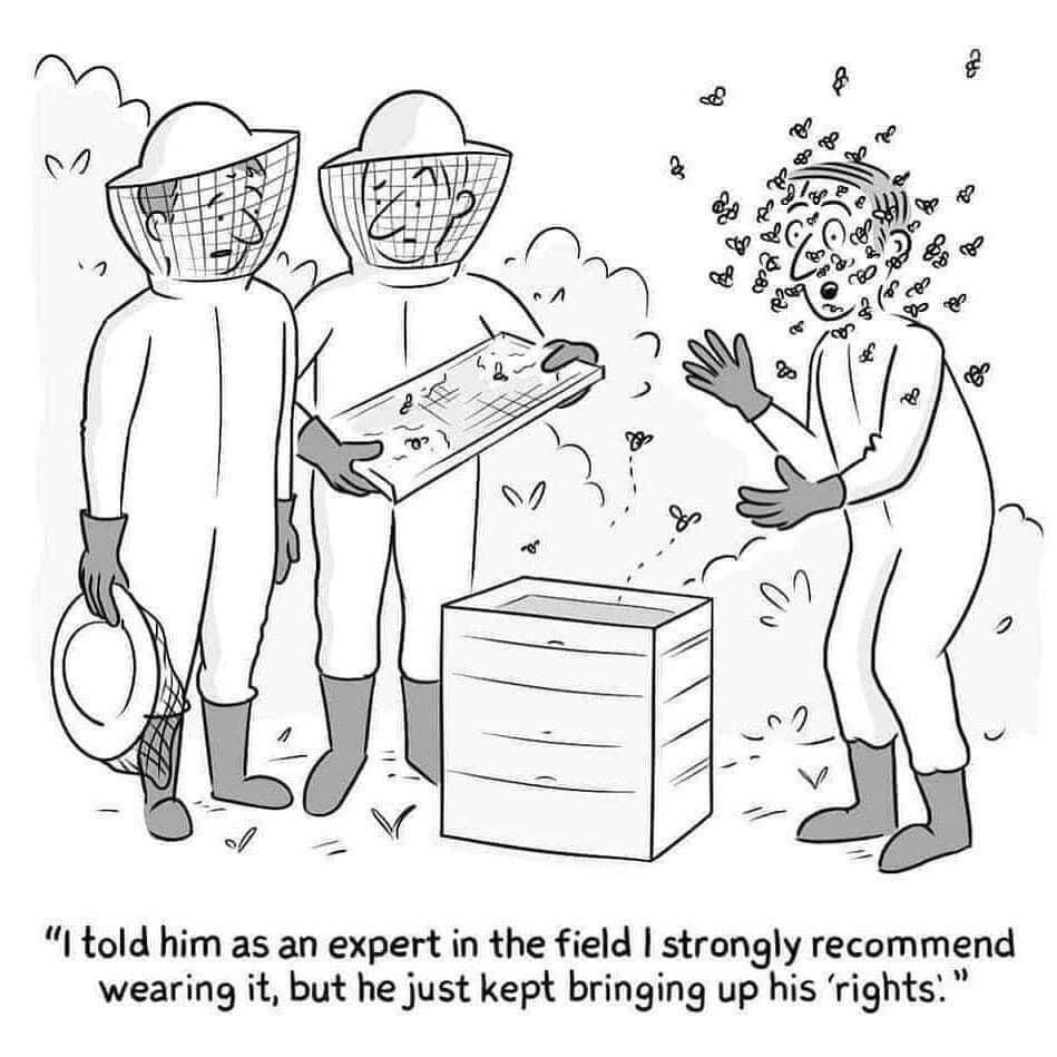 “I, as an expert in this environment, strongly recommended that he wear a mask, but he kept repeating about his rights.” - Rights, Advice, Caricature, Apiary, Bees