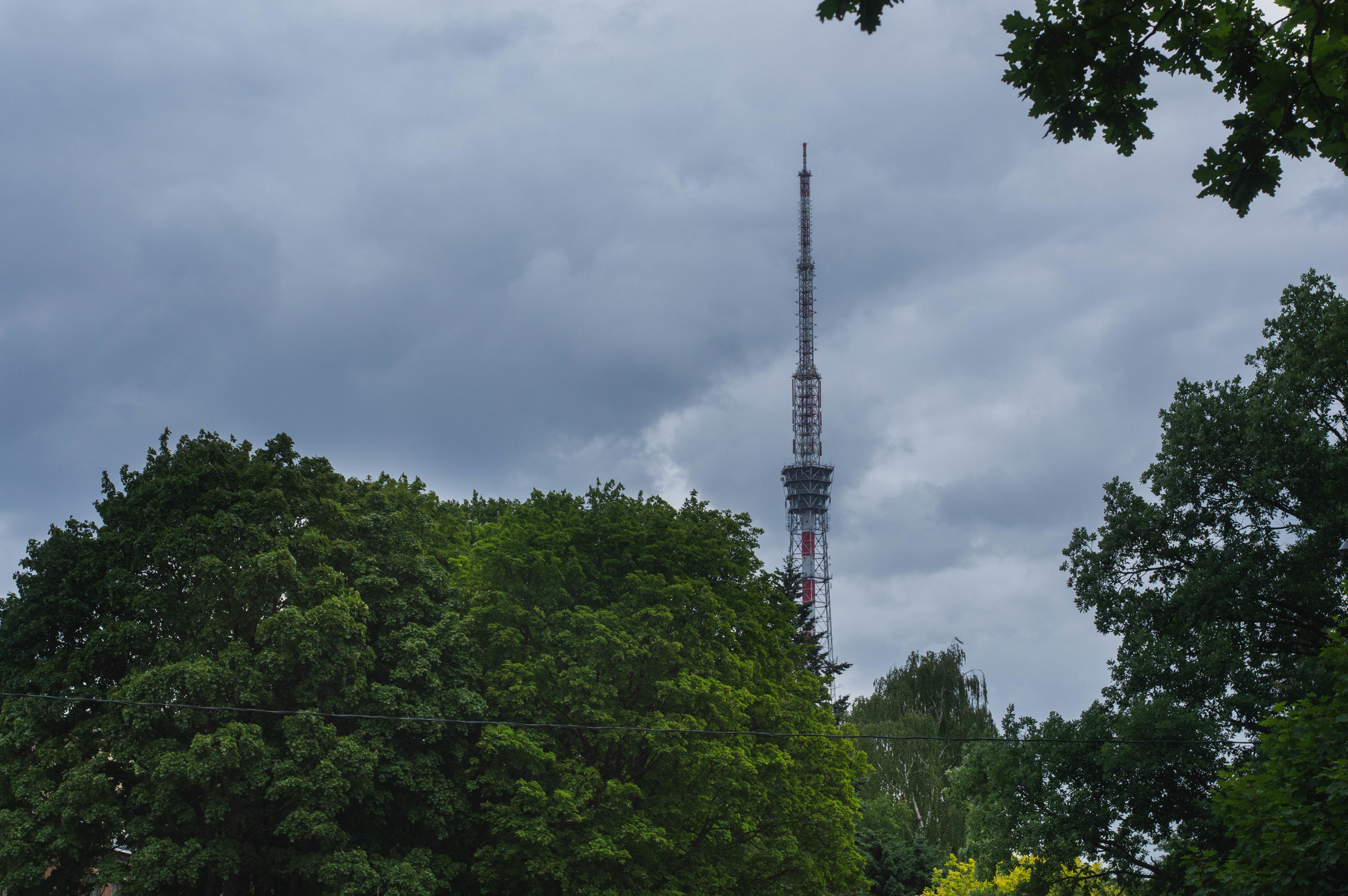 Петроградская сторона - Моё, Начинающий фотограф, Nikon d3200, Гелиос-81н, Санкт-Петербург, Длиннопост