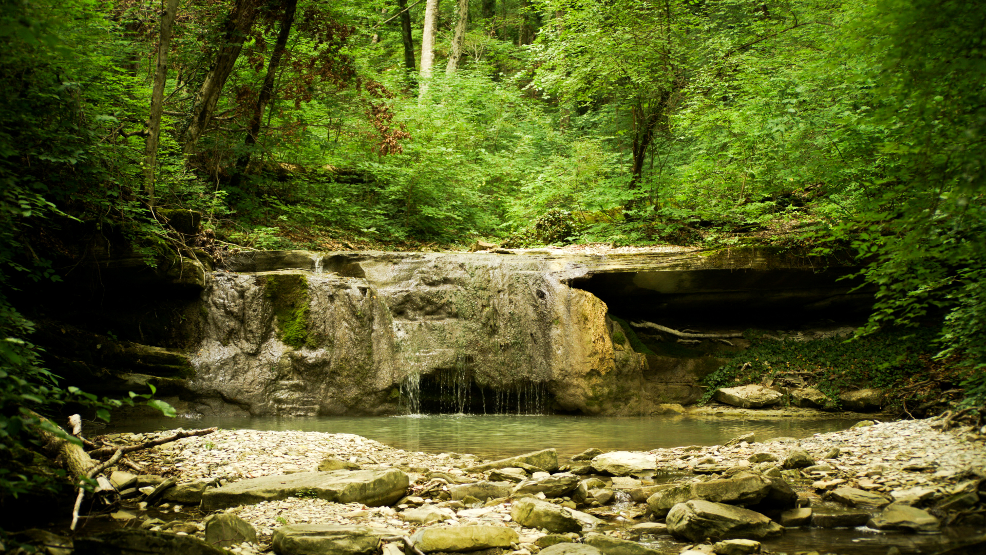 Gorge near Gelendzhik - My, Sony, The photo, Nature, Forest, Green, Longpost