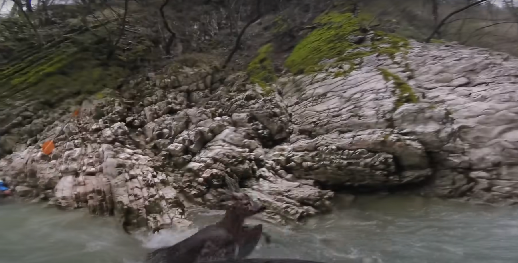 Kayakers rescued a deer caught in the rapid current of a mountain river - Kayak, Deer, Animal Rescue, The rescue, Positive, River, Italy, Video, Longpost