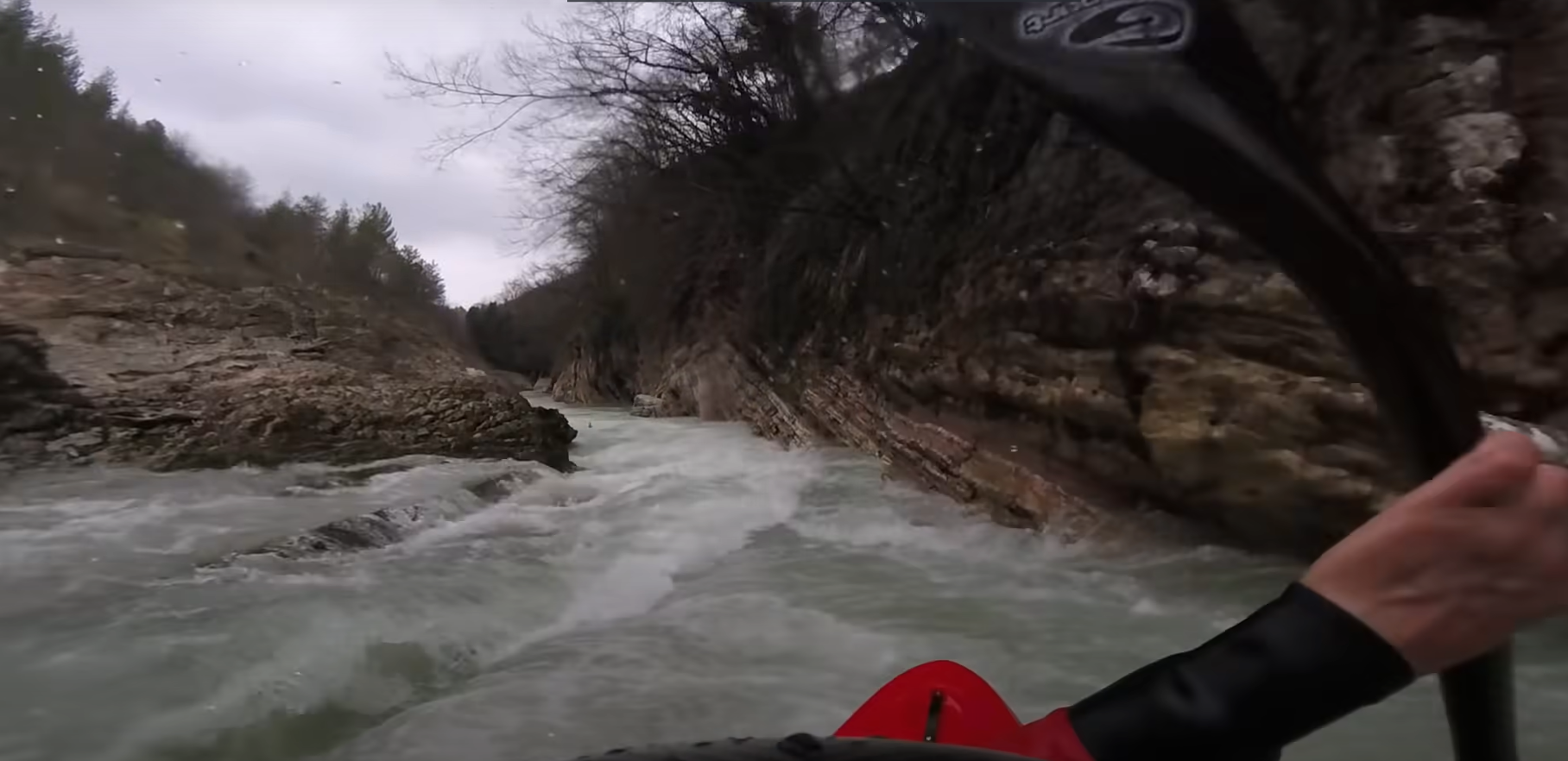 Kayakers rescued a deer caught in the rapid current of a mountain river - Kayak, Deer, Animal Rescue, The rescue, Positive, River, Italy, Video, Longpost