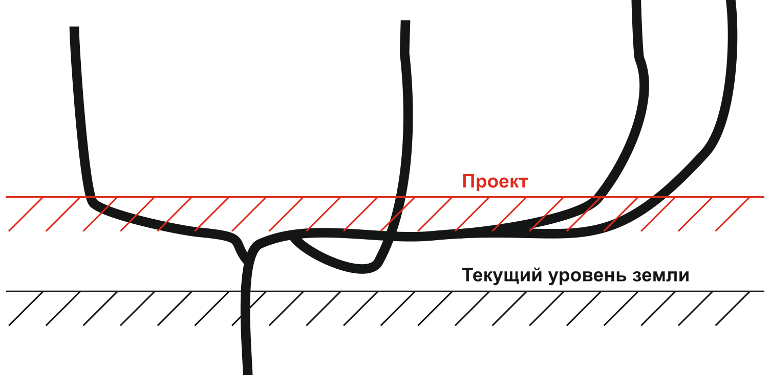 Нужна помощь от садоводов. Виноград - Помощь, Виноград, Садовод