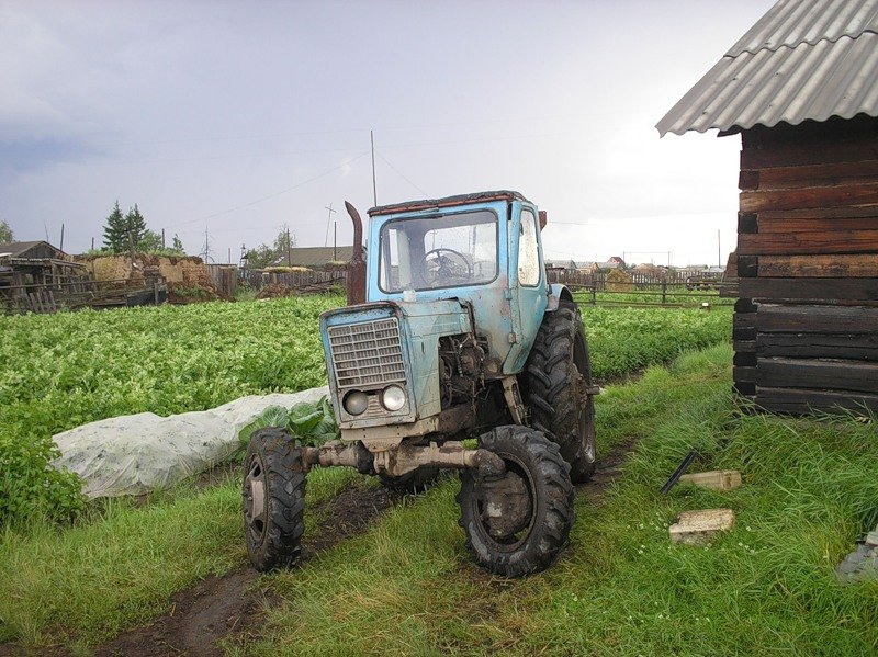 Manure as a remedy for colds (chronicles of a pandemic) - Part 35 - My, Republic of Belarus, Gomel, Humor, Satire, Political satire, Journalists, Journalism, Story, Longpost