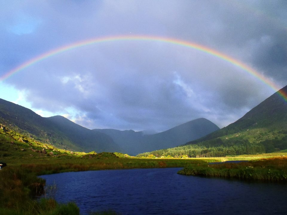 Rainbow - Радуга, Фотография