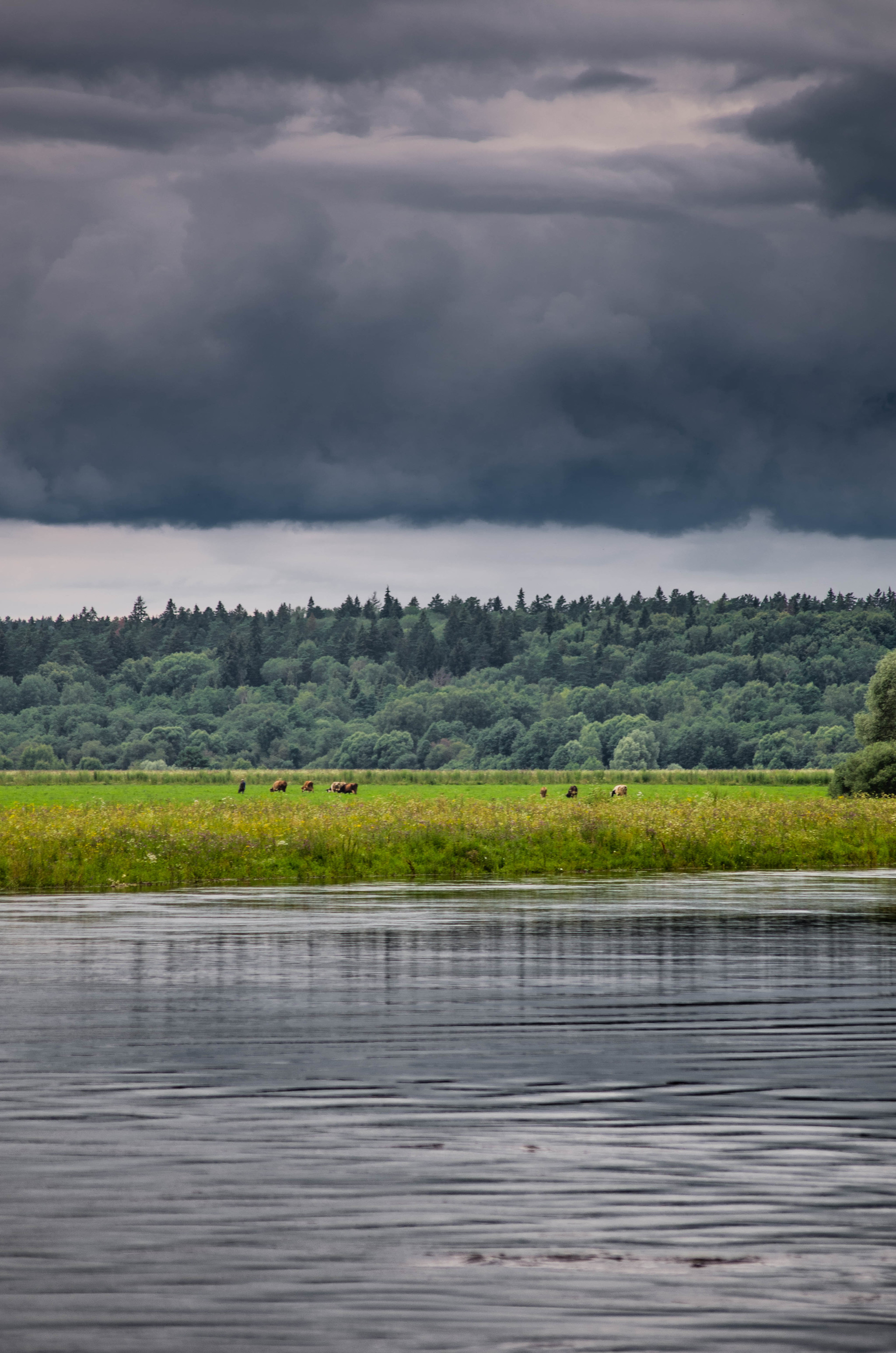 Cloudy day - My, Nature, River, Sky, Nikon, Nikon d7000, Longpost, Landscape