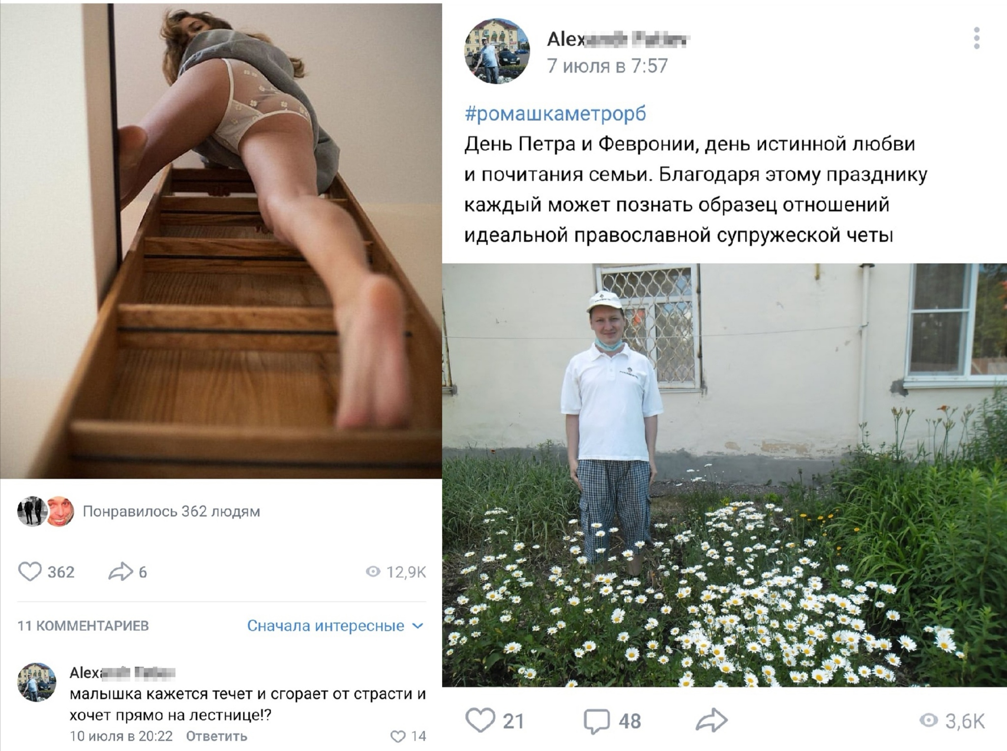 Так вот кто придумывает описание к фильмам для взрослых - NSFW, Описание, Картинка с текстом, Альфа-Самец, Красивая девушка