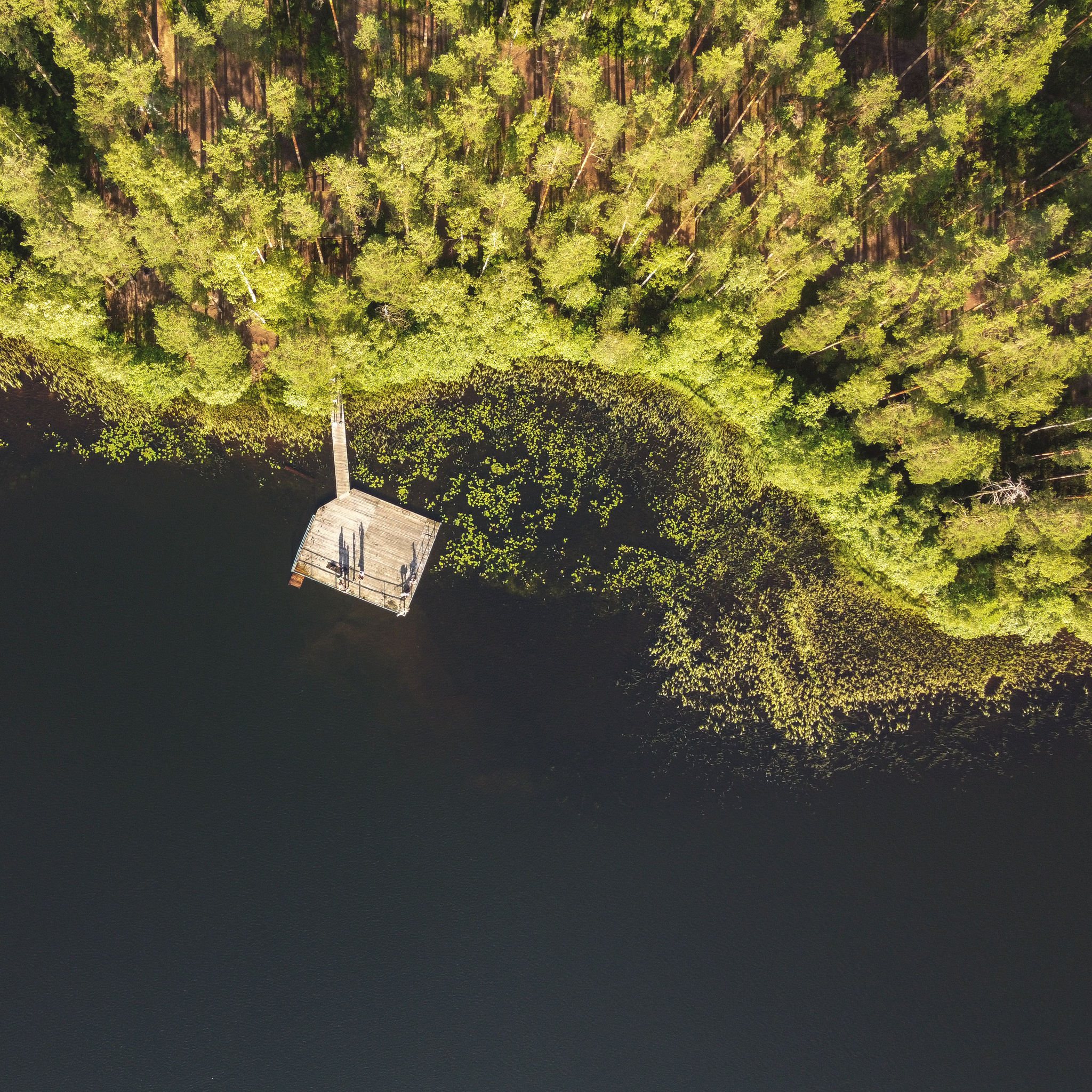 St. Petersburg. Orekhovo. From above - My, The photo, Quadcopter, Orekhovo, Lake, Leningrad region, Saint Petersburg, Longpost