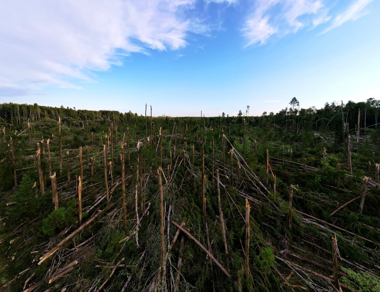 Consequences of a tornado in the Kolomensky district - Nature, Natural disasters, Tornado, Images, Longpost